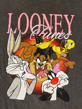 Looney Tunes Gray Characters Graphic T-Shirt Size 3XL